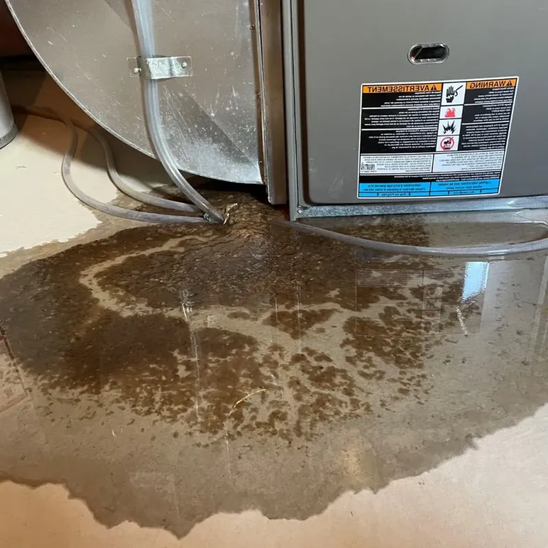 Pipe Burst and Leak Restoration in Lyndon, KY