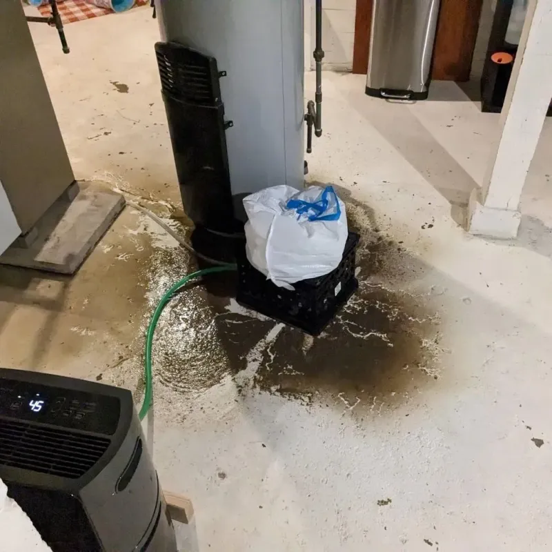 Sewage Backup Cleanup Service in Lyndon, KY